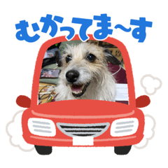 つくしだよー♡