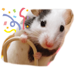 パンダマウスの日常