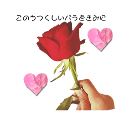 情熱的なバラ子さんとバラ男さん