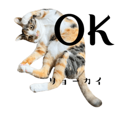 ふすま屋さんの広報うずらさん