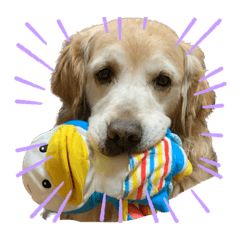 キチのスタンプa