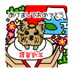 わんだふるなお正月のご挨拶