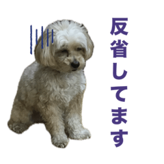 僕の名前はるい