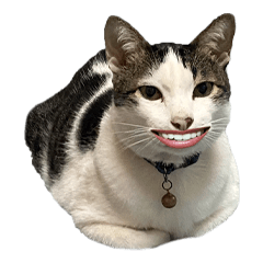 Meyen The Magical Cheese Wizard