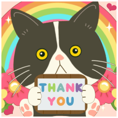 ハチワレぶーにゃん＊大好きな人へ