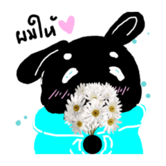 Naris_20240702224955