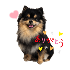 ししまるスタンプ①日常