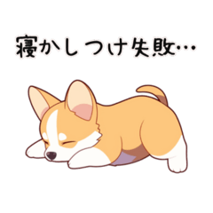 【育児連絡】コーギー