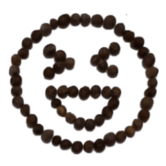 ゴマじゃないよ、エゴマだよ