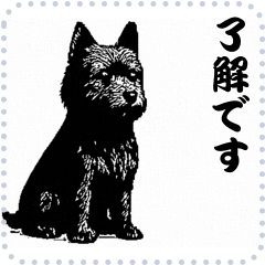 犬の メッセージ スタンプ 37