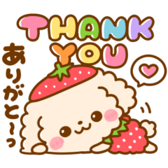 いちご♡トイプードル