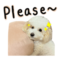 OeyJung_20250816214450