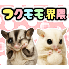 フクモモ兄弟の界隈生活