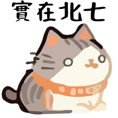 Talk Cat Ball   and Rotten Special 4