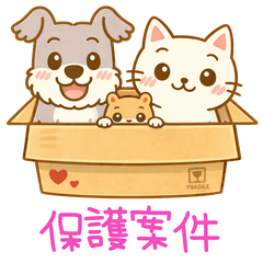 毎日使える推し活&日常に寄り添うスタンプ