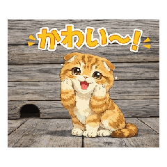 猫 スコティッシュ-フォールド Dアニメ