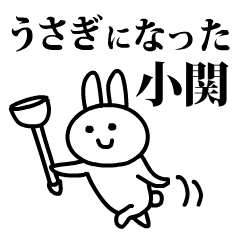 うさぎになった小関