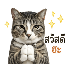 GiggiwDiwdiw_20260501145155