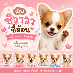 Cute Chihuahua Puppy