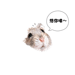 Little durine is my pet. It's very cute.