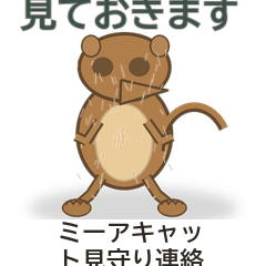 ミーアキャット見守り連絡