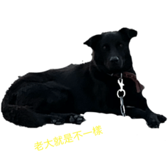 Jun Jun_20190326200729