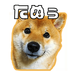 よりめのはちくんのスタンプ