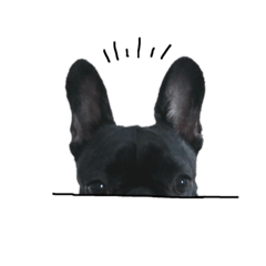 毎日使えるフレブルのスタンプ