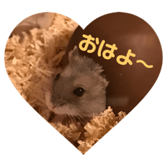 かわいいハムちゃんのスタンプ♡