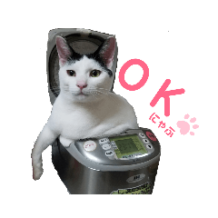 パパの愛猫スタンプ