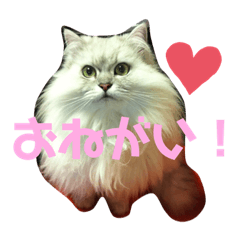 れこにゃんスタンプ