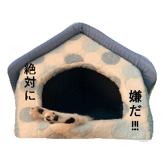 リアル黒猫スタンプ2