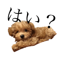 ゆきまろの気持ち