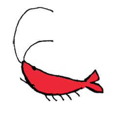 ミスターシュリンプ