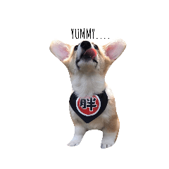 Honey_20200124130742