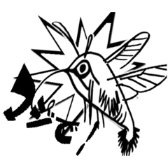 スガシバ珈琲001