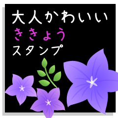 大人可愛いききょうのスタンプ