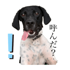 シェリのスタンプ その1