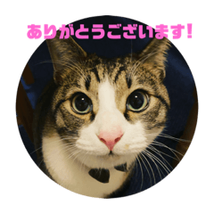 麦と胡麻塩兄妹のスタンプ