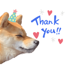 しばいぬすたんぷ2