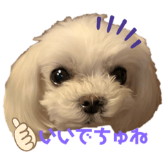 綿菓子姉弟PuffyとPollone