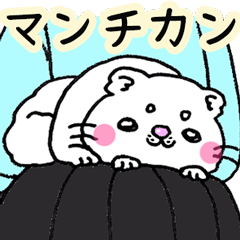 ゆるかわ☆マンチカン