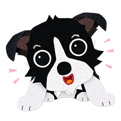 ボーダーコリーのボー太郎 4