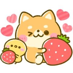 豆柴日和♡冬２