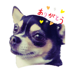 みら、スタンプ