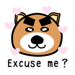 まゆがチャーミングな動物たち（マユマル）