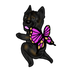 甲斐犬ぺろたん