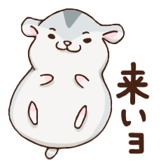 男の子ハムスター