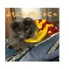 コマちゃん&ナナちゃん