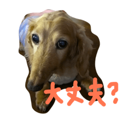 えんちゃんの日常でスタンプ作成しました